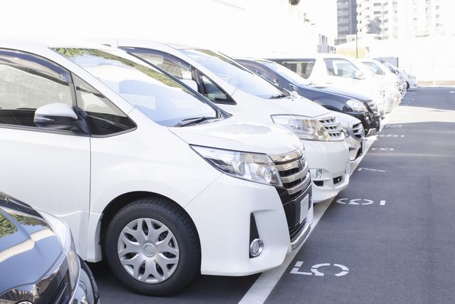 目標は駐車が出来るようになること